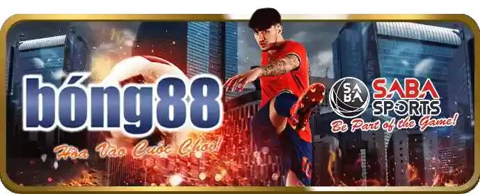Chương trình VIP và ưu đãi độc quyền VT88